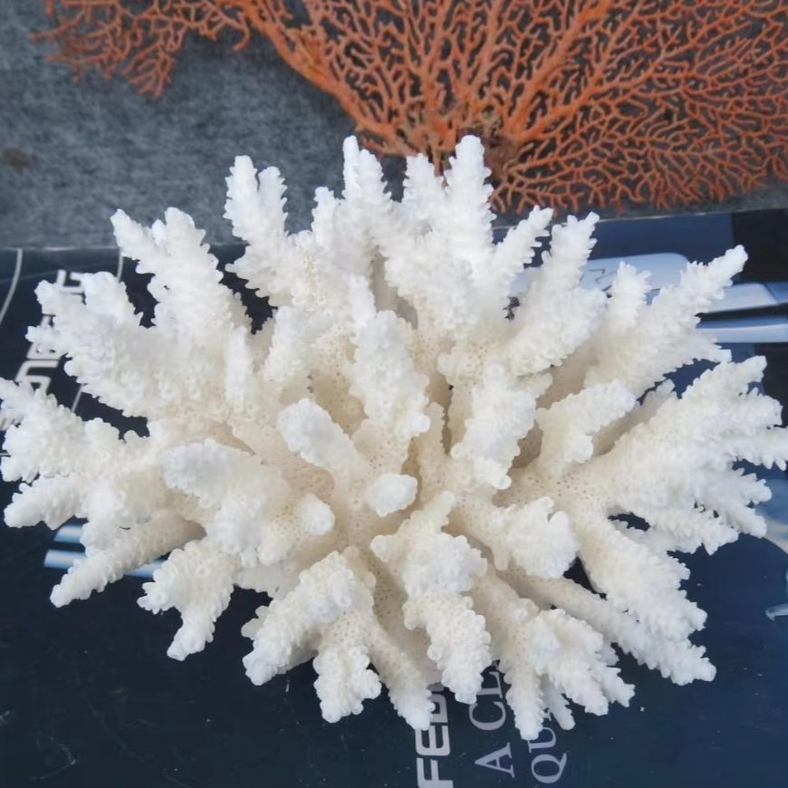 Marine Aquarium Decorations - 1pc Natural White Coral Cluster marine