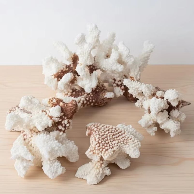 1pc Natural White Coral Cluste - Marine Aquarium Decorations recension och pris