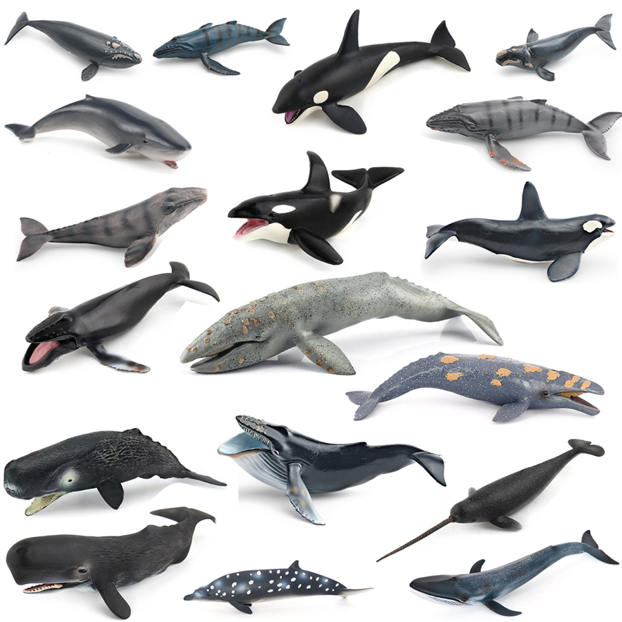 Realistic Humpback Whale Sperm - Marine Aquarium Decorations recension och pris