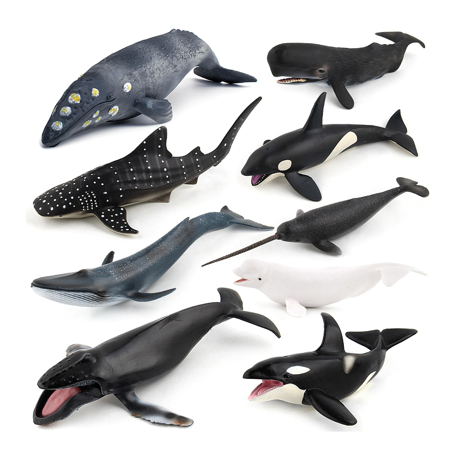 Realistic Humpback Whale Sperm - Marine Aquarium Decorations recension och pris