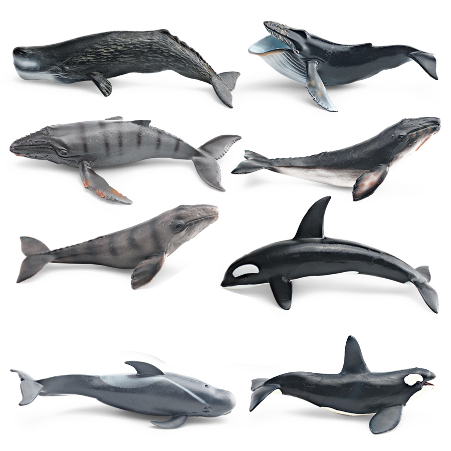 Realistic Humpback Whale Sperm - Marine Aquarium Decorations recension och pris