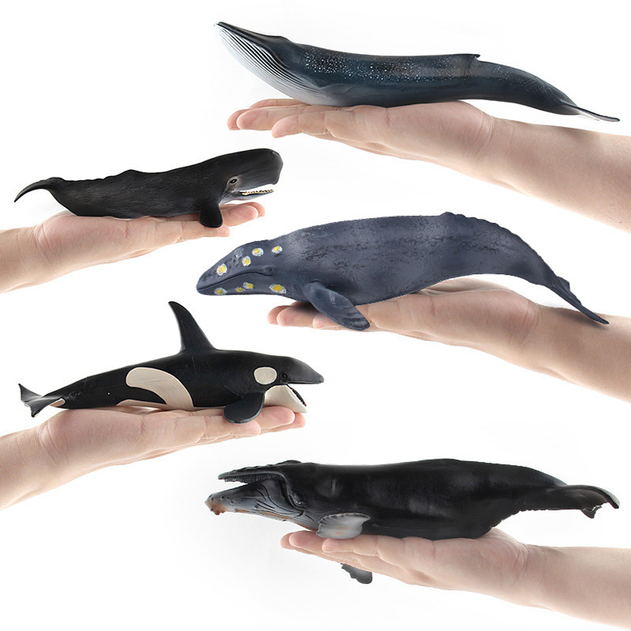 Realistic Humpback Whale Sperm - Marine Aquarium Decorations recension och pris
