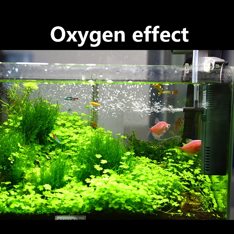 SUNSUN mini nano 111B 311B 611 - Marine Aquarium Water recension och pris